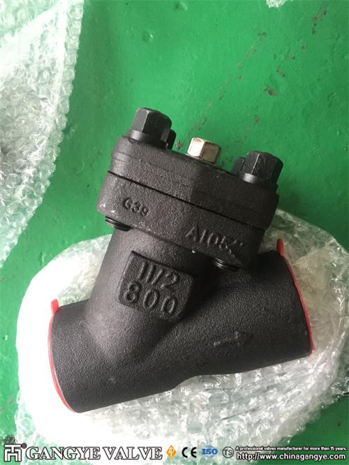 BW Forged Steel Check Valve (3)