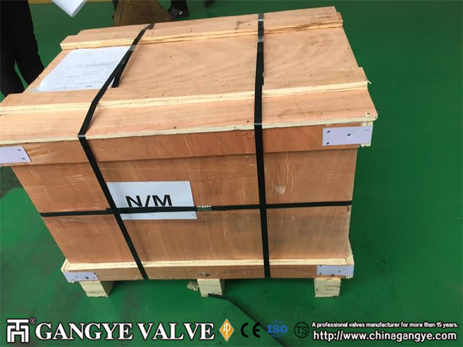 BW Forged Steel Check Valve (4)