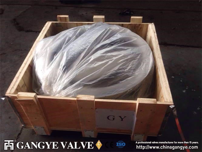 Wafer Stainless Steel Check Valve  (1)