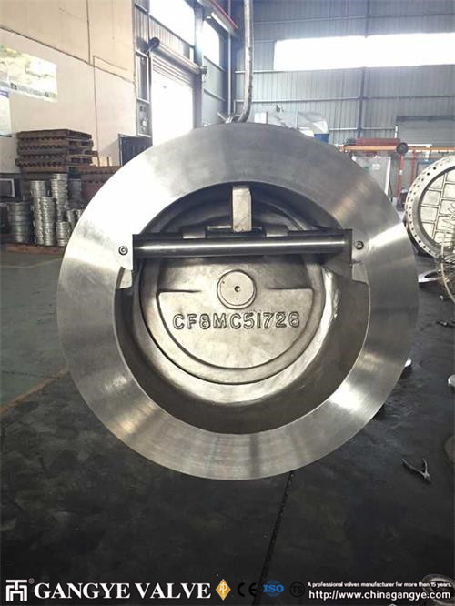 Wafer Stainless Steel Check Valve  (5)